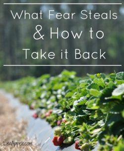 what fear steals post