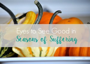 Eyes to See Good in Seasons of Suffering