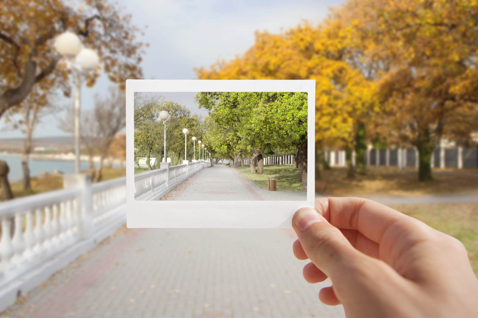 What God Says About Looking Back - Lisa Appelo