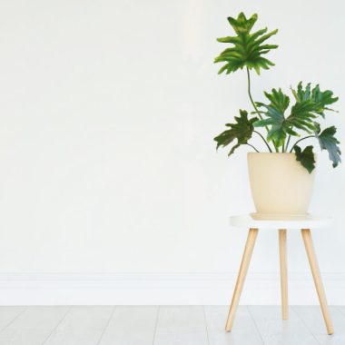 A Biblical response to 5 stages of grief